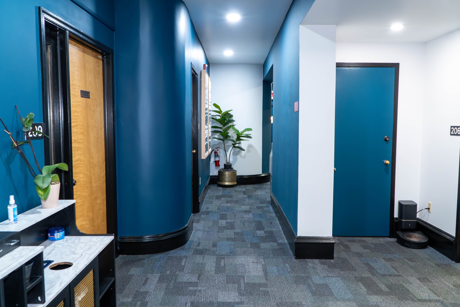Curved hallway in deep teal with potted fiddle leaf fig