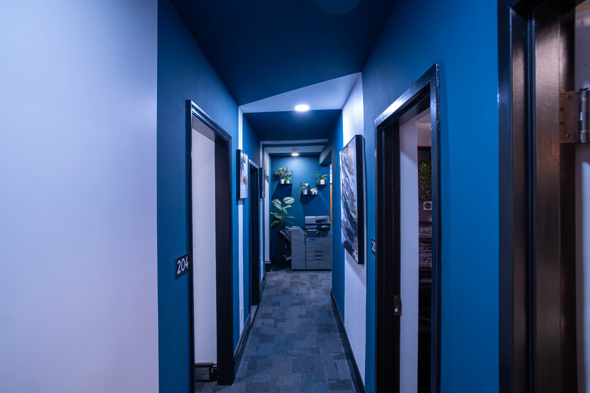 Suite 204 corridor in deep blue with framed abstract artwork