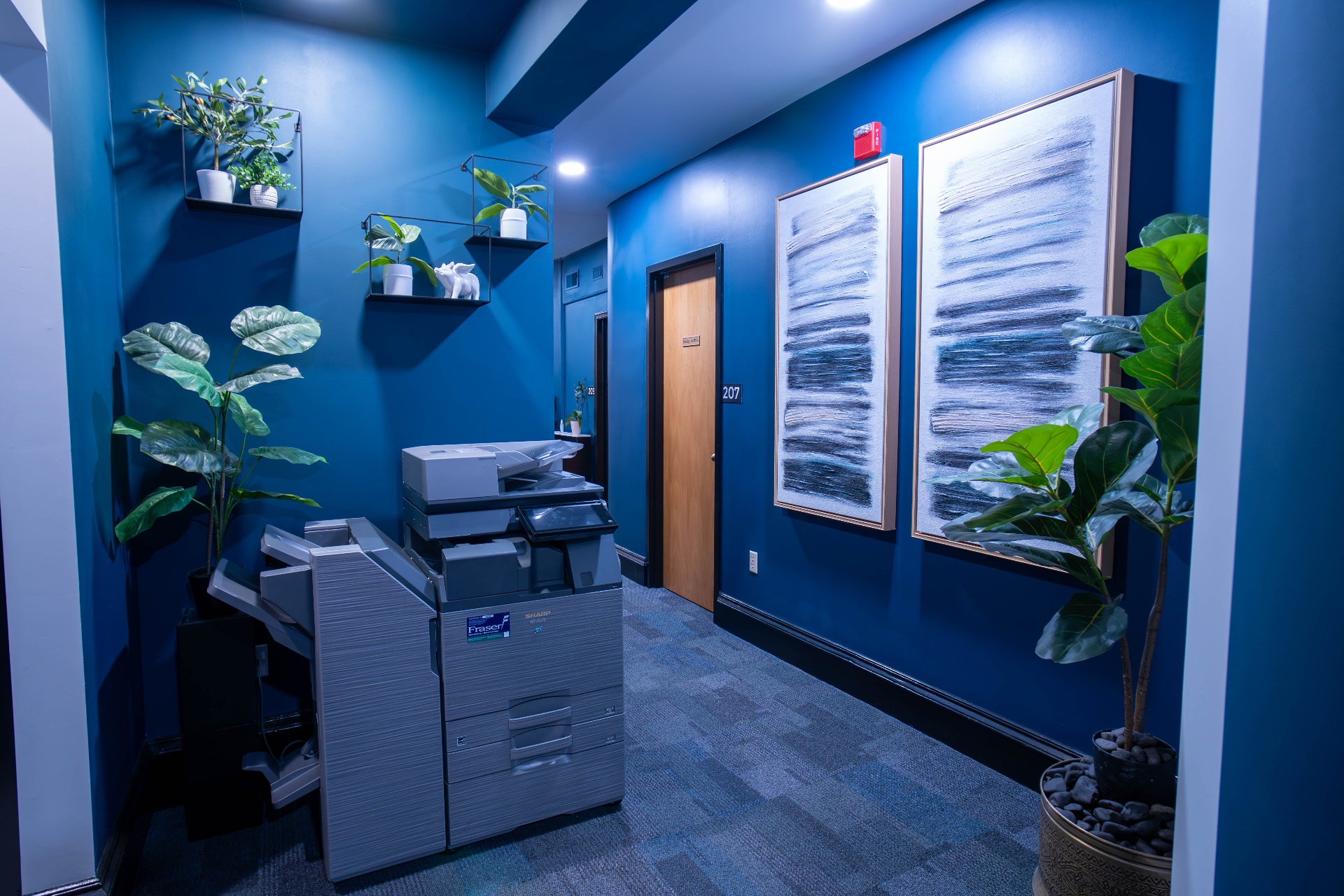Print room corridor in cobalt with botanical shelves and abstract diptych
